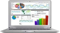 Consulting Web Analytics