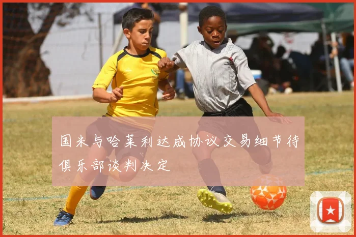 国米与哈莱利达成协议交易细节待俱乐部谈判决定