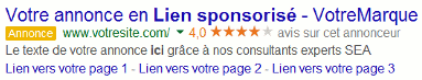 annonce lien sponsorisé Adwords